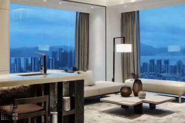 深圳中泰印邸，首期5萬(減)，香港銀行按揭，最新價單