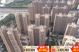 惠州万城名座，首期5万(减)，香港银行按揭，最新价单