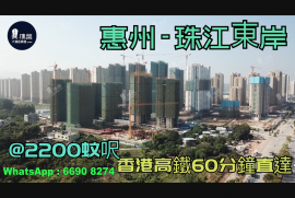 珠江東岸-惠州|首期3萬(減)|@2200蚊呎|香港高鐵60分鐘直達|香港銀行按揭(實景航拍)