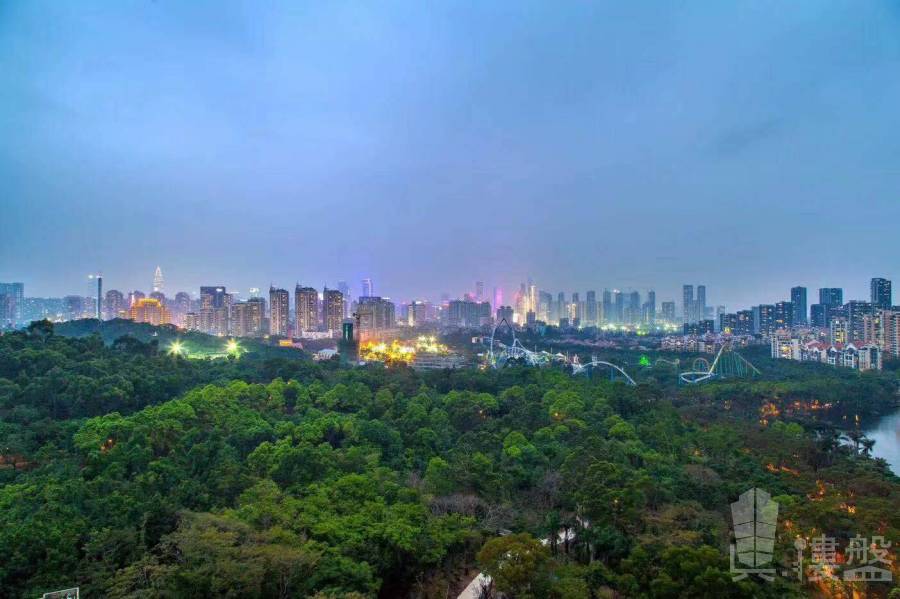 華僑城新天鵝堡-深圳|首期5萬(減)|鐵路沿線與香港一橋之隔核心地段 (實景航拍)